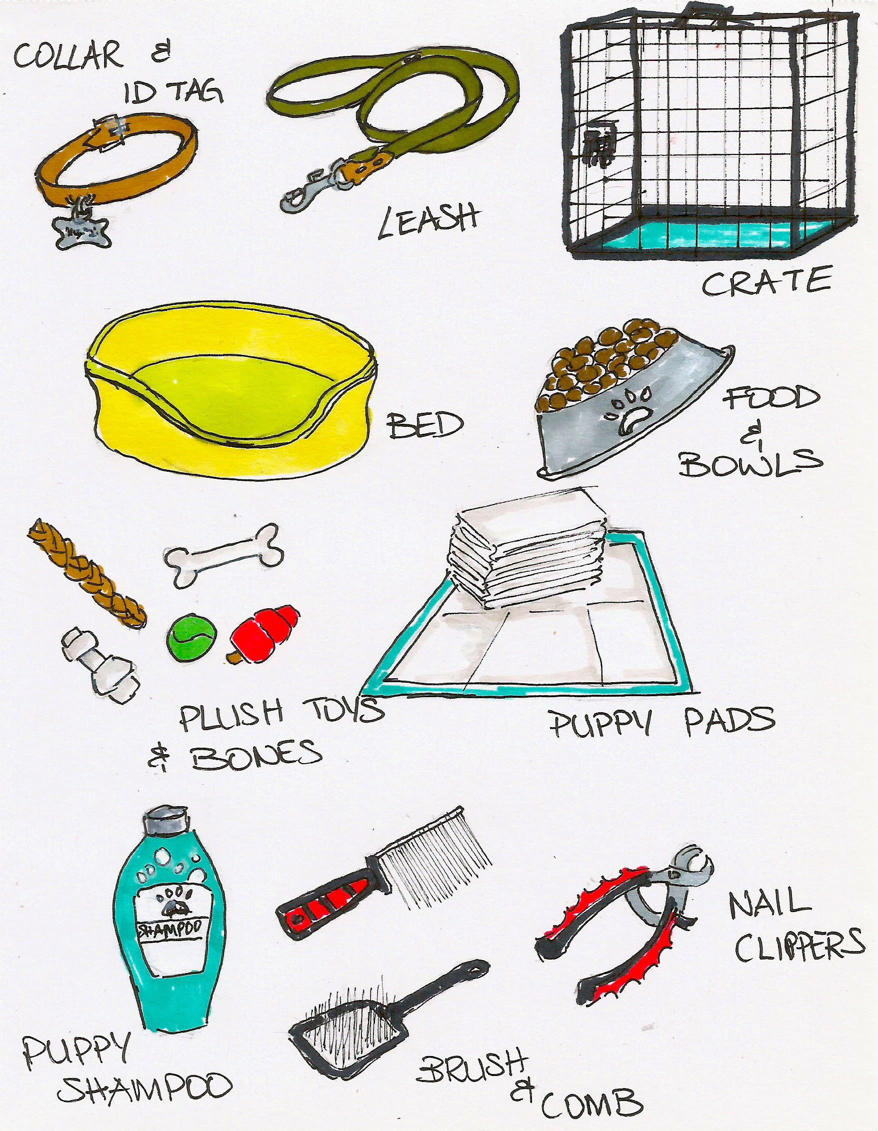 New Puppy Checklist